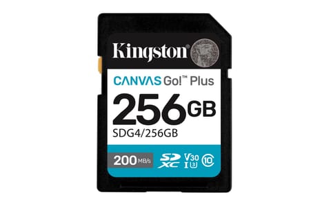 Karta pamięci KINGSTON 256 GB w sklepie Wasserman.eu
