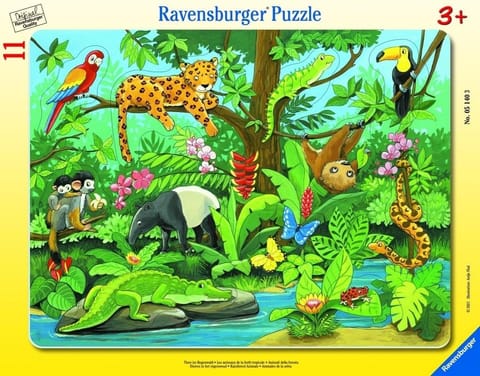 ⁨Puzzle 11 Co tu pasuje? Zwierzęta lasu deszczowego⁩ w sklepie Wasserman.eu