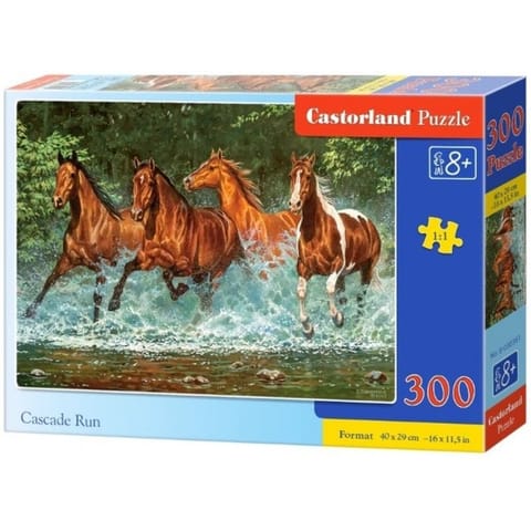 ⁨Puzzle 300 elements Cascade run⁩ at Wasserman.eu