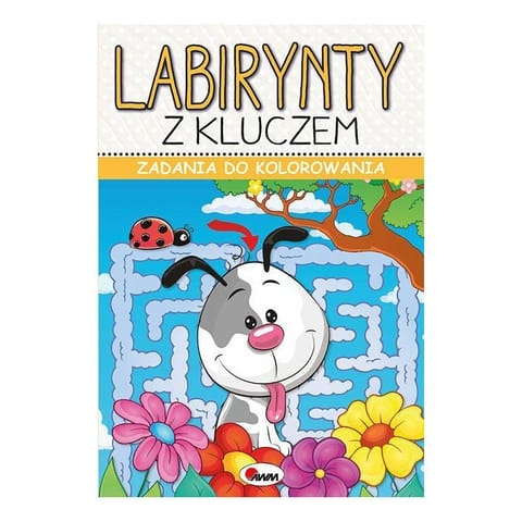 Zadania do kol. lab. z kluczem AWM WYDAWNICTWO w sklepie Wasserman.eu