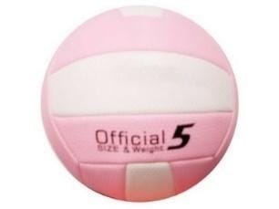 ⁨Piłka siatkowa⁩ w sklepie Wasserman.eu