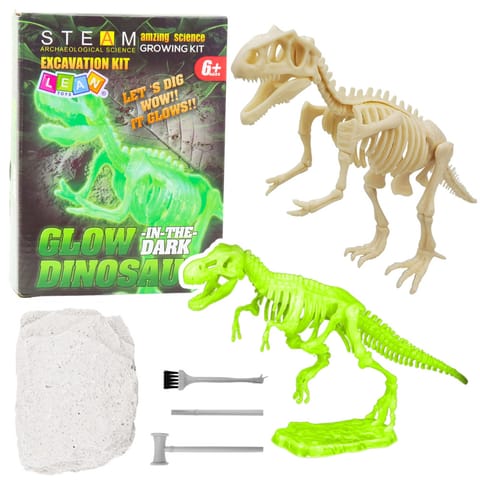 ⁨Zestaw Archeologiczny Wykopaliska Fluorescencyjny Szkielet Narzędzia⁩ w sklepie Wasserman.eu