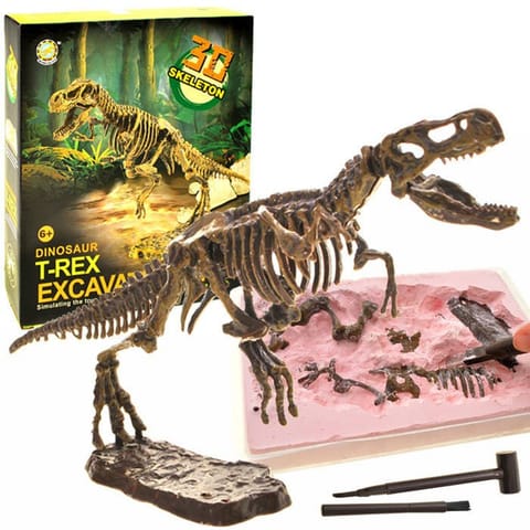 ⁨Szkielet T-REX 3D wykopaliska zestaw ZA1777 A⁩ w sklepie Wasserman.eu