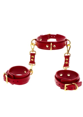 Kajdanki Na Ręce Z Obrożą D-Ring Collar And Wrist Cuffs Taboom w sklepie Wasserman.eu