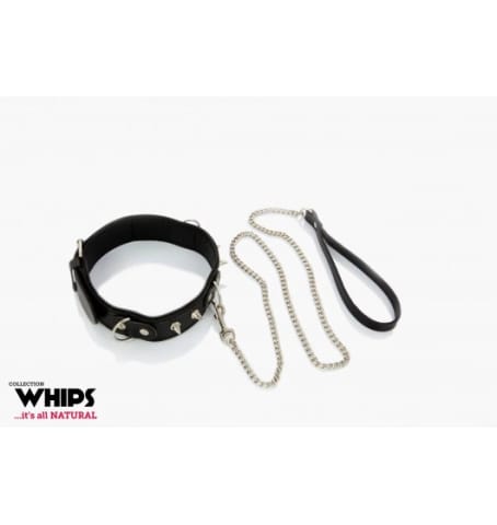 Whips Slave collar with a leash at Wasserman.eu