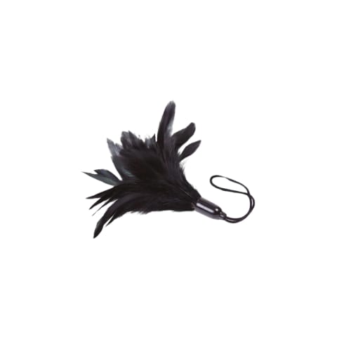 ⁨Feather Tickler Black - Prestiżowe Pióra Adrien Lastic⁩ w sklepie Wasserman.eu