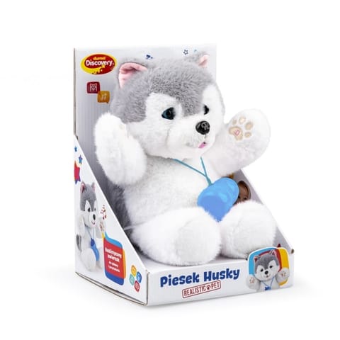 ⁨PIESEK HUSKY DUMEL DISCOVERY⁩ w sklepie Wasserman.eu