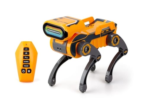 ⁨ROBO EXPRESS DOG⁩ w sklepie Wasserman.eu