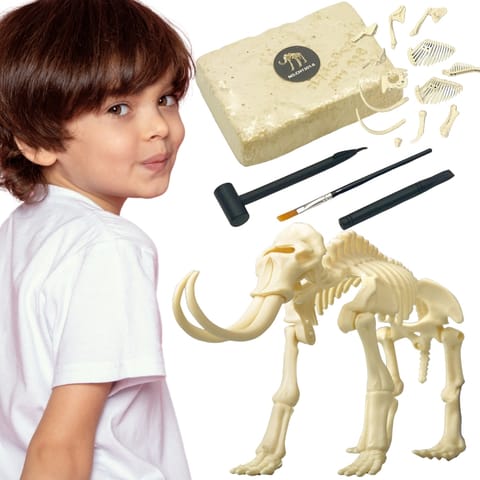 ⁨WOOPIE Zabawka Kreatywna Dinozaur Szkielet Wykopalisko Archeologiczne⁩ w sklepie Wasserman.eu
