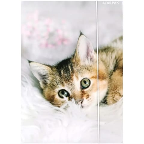 ⁨Teczka z gumką A4 KOTKI 559717 STARPAK⁩ w sklepie Wasserman.eu