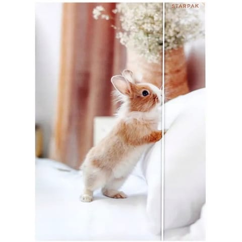 Teczka z gumką A4 KRÓLIK 559727 STARPAK w sklepie Wasserman.eu