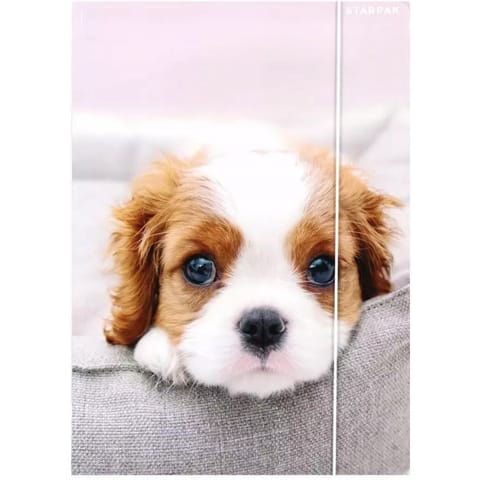 Teczka z gumką A4 PIESKI 559719 STARPAK w sklepie Wasserman.eu