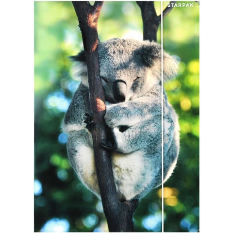 Teczka z gumką A4 WILD ANIMAL KOALA 559730 STARPAK w sklepie Wasserman.eu