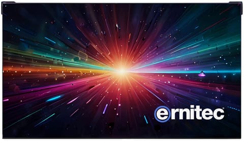 Ernitec 55" Full HD 24/7 (4K in 2 x w sklepie Wasserman.eu