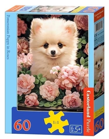 ⁨PUZZLE 60EL. POMERANIAN PUPPY⁩ w sklepie Wasserman.eu
