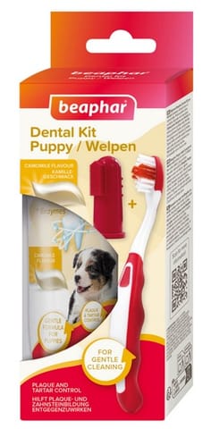 Beaphar Puppy Dental Kit - szczoteczka i pasta do zębów 50g w sklepie Wasserman.eu