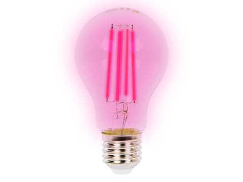 ⁨Żarówka E27 A60 LED 9W do uprawy roślin⁩ w sklepie Wasserman.eu