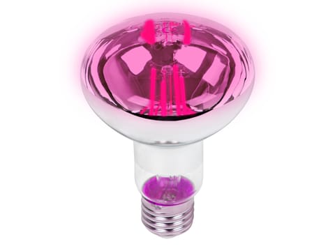 ⁨Żarówka E27 A60 LED 9W R80 do uprawy roślin⁩ w sklepie Wasserman.eu