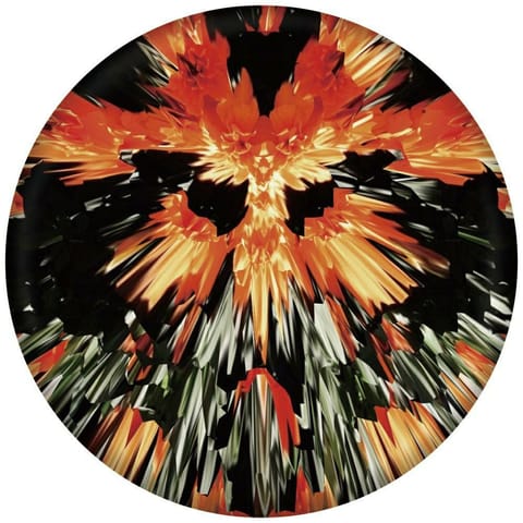 ⁨Frisbee Waboba Wingman Pro dysk          silikonowy 20cm (Produkt w kilku kolorach - wysyłka losowa)⁩ w sklepie Wasserman.eu