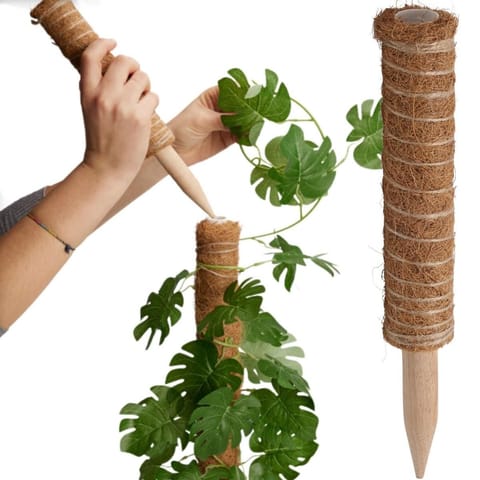 ⁨PODPORA DO ROŚLIN KOKOSOWA 30CM PROGARDEN⁩ w sklepie Wasserman.eu