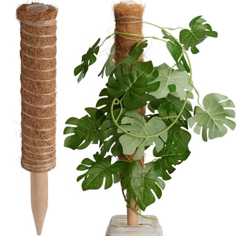 ⁨PODPORA DO ROŚLIN KOKOSOWA 50CM PROGARDEN⁩ w sklepie Wasserman.eu