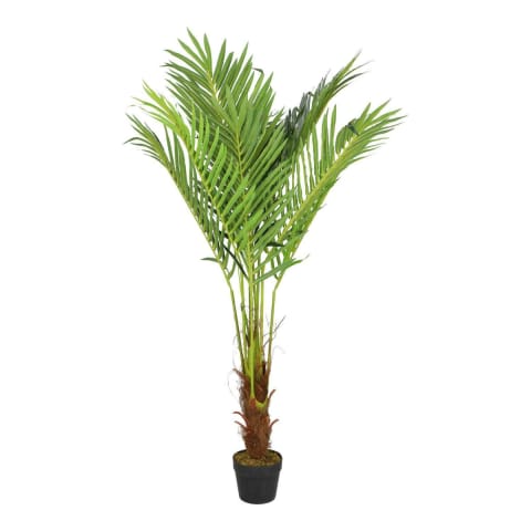 ⁨Artificial palm Liwistonia 135cm⁩ at Wasserman.eu