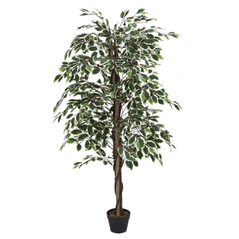 ⁨Benjamin artificial plant 170 cm⁩ at Wasserman.eu