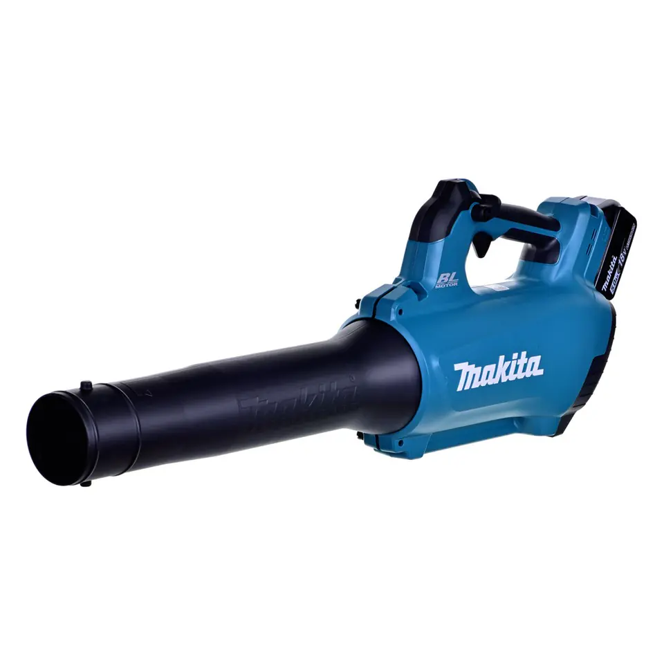 Leaf blower 18V DUB184RT MAKITA at Wasserman.eu