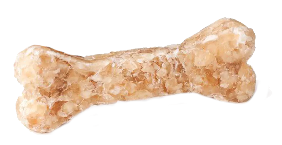 BIOFEED EUPHORIA SENIOR BONE Kość dla seniora 10cm w sklepie Wasserman.eu