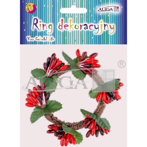⁨Ring dekoracyjny roz. ok. 10cm. op. 1szt. DPG-5944 ALIGA⁩ w sklepie Wasserman.eu