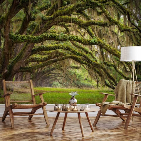 ⁨Fototapeta - Uścisk drzew (rozmiar 441x315, wykończenie Samoprzylepna)⁩ w sklepie Wasserman.eu