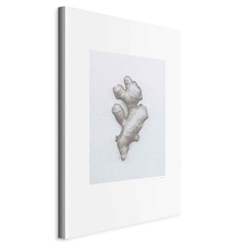 ⁨Obraz - Imbir (1-częściowy) pionowy (rozmiar 80x120, wykończenie Standard)⁩ w sklepie Wasserman.eu