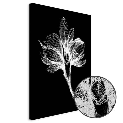 ⁨Obraz - Nocny kwiat (1-częściowy) pionowy (rozmiar 80x120, wykończenie Premium Print)⁩ w sklepie Wasserman.eu