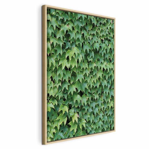 ⁨Obraz - Gęsty bluszcz (1-częściowy) pionowy (rozmiar 40x60, wykończenie W ramie drewnianej naturalnej)⁩ w sklepie Wasserman.eu