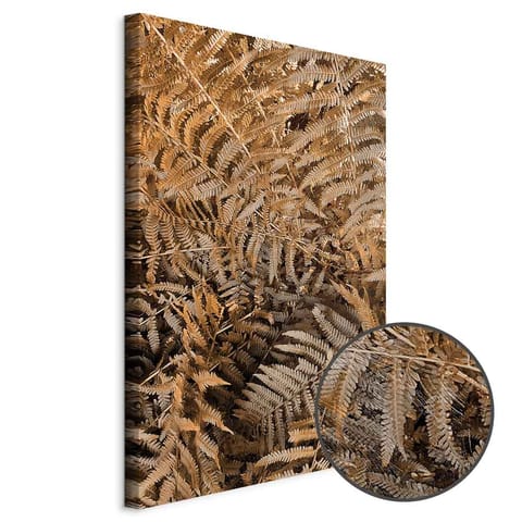 ⁨Obraz - Tajemnicza paproć (1-częściowy) pionowy (rozmiar 60x90, wykończenie Premium Print)⁩ w sklepie Wasserman.eu