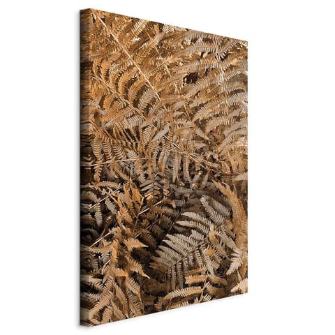⁨Picture - Mysterious fern (1-piece) vertical (size 40x60)⁩ at Wasserman.eu