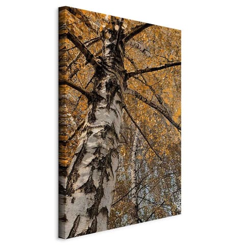 ⁨Picture - Autumn color scheme (1-piece), vertical (size 40x60)⁩ at Wasserman.eu