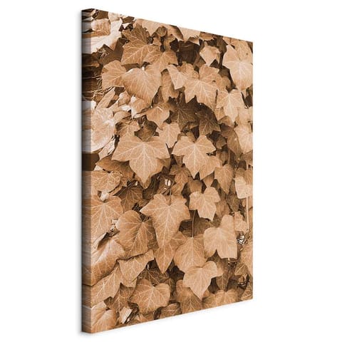 ⁨Obraz - Jesienny bluszcz (1-częściowy) pionowy (rozmiar 20x30, wykończenie Na płótnie włoskim)⁩ w sklepie Wasserman.eu