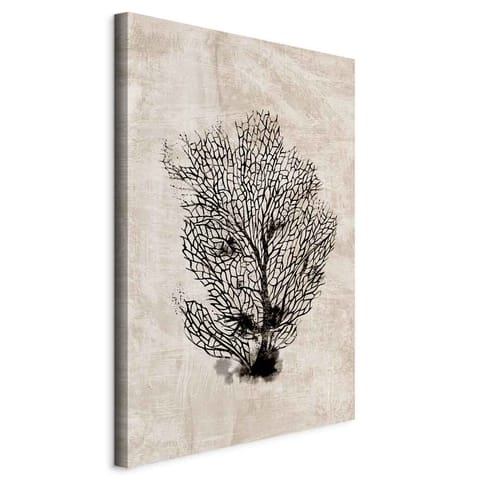 ⁨Image - Sea fan (1-piece) vertical (size 80x120)⁩ at Wasserman.eu