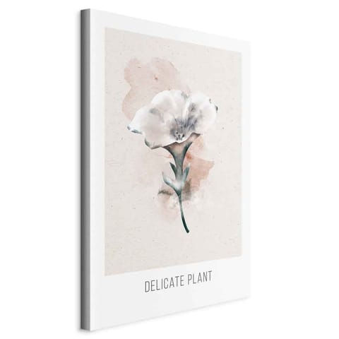 ⁨Obraz - Delikatna roślina (1-częściowy) pionowy (rozmiar 20x30, wykończenie Standard)⁩ w sklepie Wasserman.eu