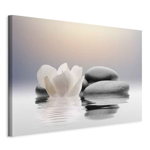 ⁨Picture - Garden of Peace (size 60x40)⁩ at Wasserman.eu