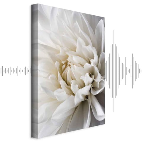 ⁨Obraz - Biała dalia (rozmiar 80x120, wykończenie Akustyczny)⁩ w sklepie Wasserman.eu