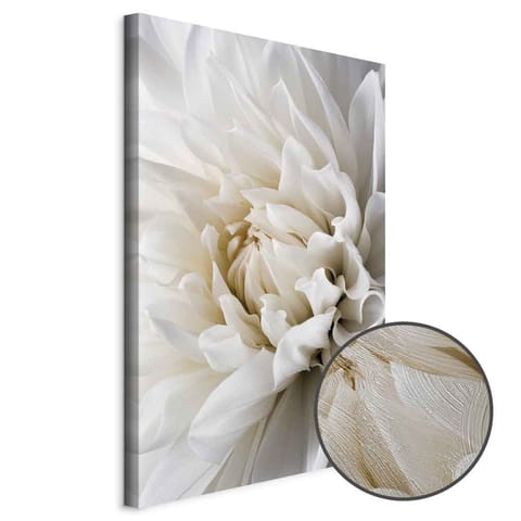 ⁨Obraz - Biała dalia (rozmiar 20x30, wykończenie Premium Print)⁩ w sklepie Wasserman.eu