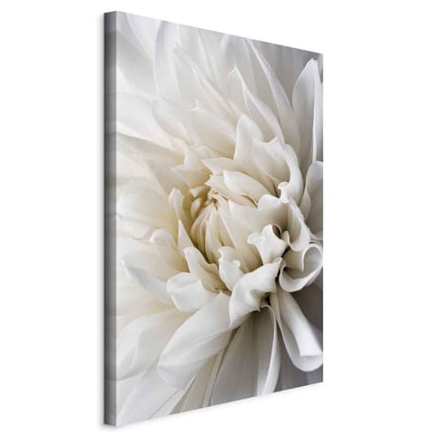 ⁨Picture - White dahlia (size 40x60)⁩ at Wasserman.eu