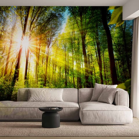 ⁨Self-adhesive wall mural - Forest hiding place (size 245x175)⁩ at Wasserman.eu