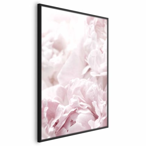 ⁨Plakat - Puszyste peonie (rozmiar 60x90, wykończenie Rama czarna)⁩ w sklepie Wasserman.eu