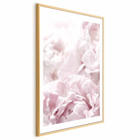 ⁨Plakat - Puszyste peonie (rozmiar 21x30, wykończenie Rama złota z marginesem)⁩ w sklepie Wasserman.eu