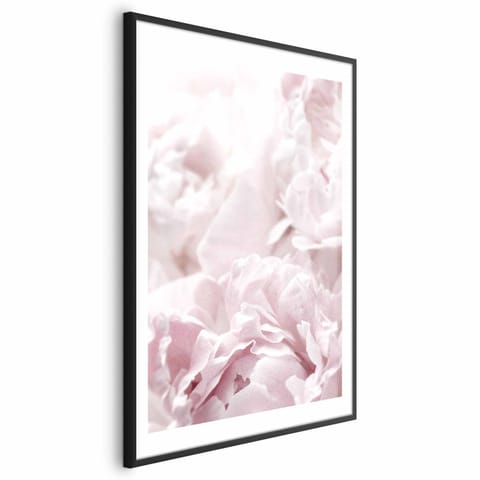 ⁨Plakat - Puszyste peonie (rozmiar 40x60, wykończenie Rama czarna z marginesem)⁩ w sklepie Wasserman.eu