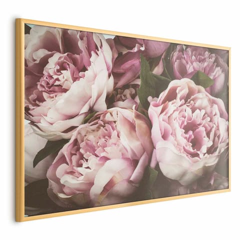 ⁨Plakat - Różowe piwonie (rozmiar 30x21, wykończenie Rama złota)⁩ w sklepie Wasserman.eu