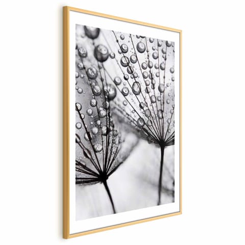 ⁨Plakat - Rosa w skali makro (rozmiar 29.7x42, wykończenie Rama złota z marginesem)⁩ w sklepie Wasserman.eu